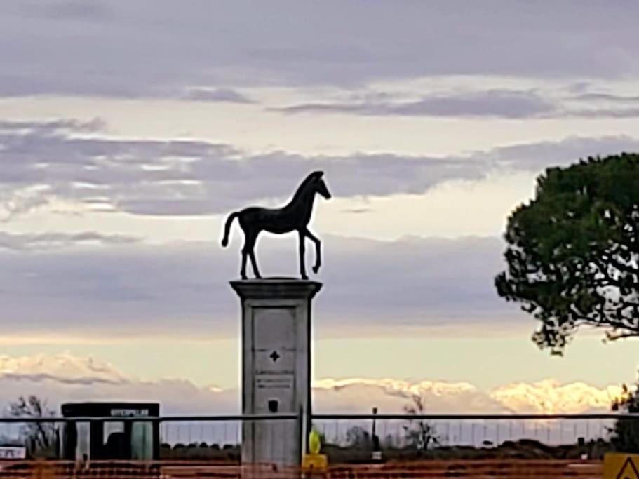 Appartamento Con Vista A Cavallino Venezia Extérieur photo