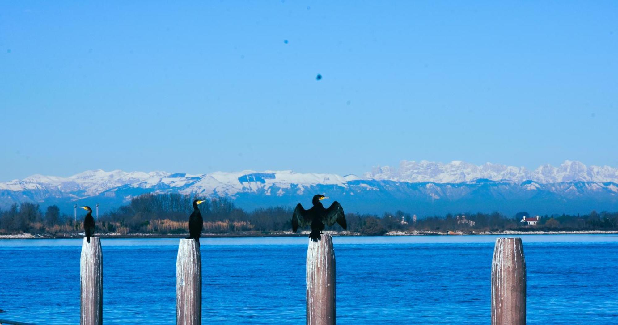 Appartamento Con Vista A Cavallino Venezia Extérieur photo